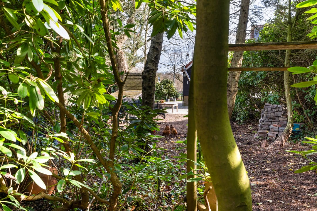 Foto 31 van Kanaal W.Z. 30