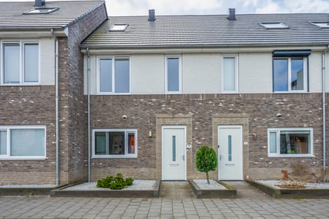 undefined main image