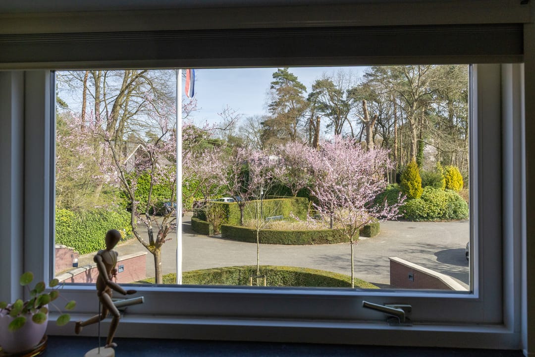 Foto 43 van Lassuslaan 52-C