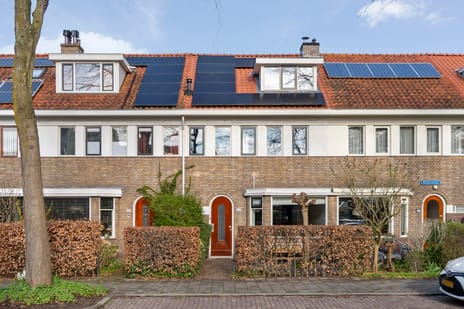 Brederostraat thumbnail