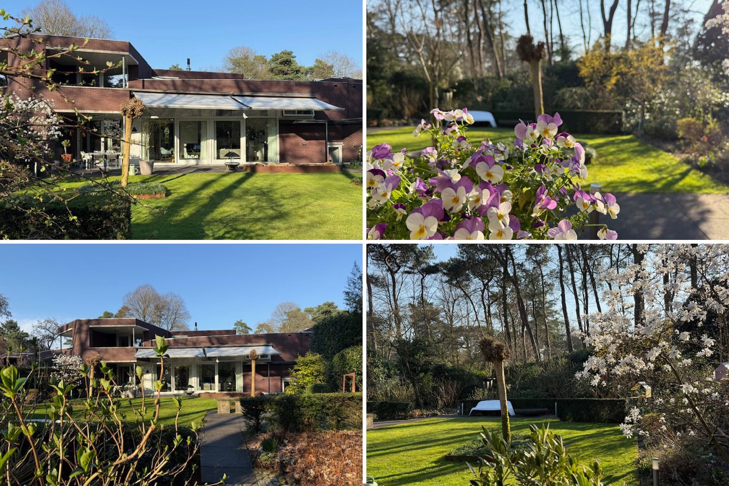 Foto 65 van Lassuslaan 52-C