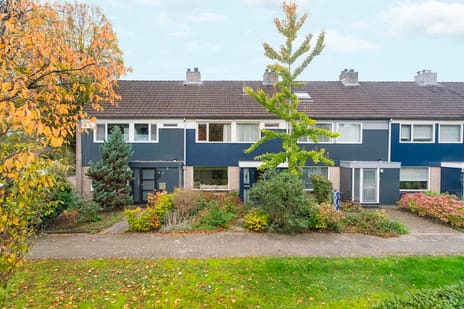 Talingsingel thumbnail