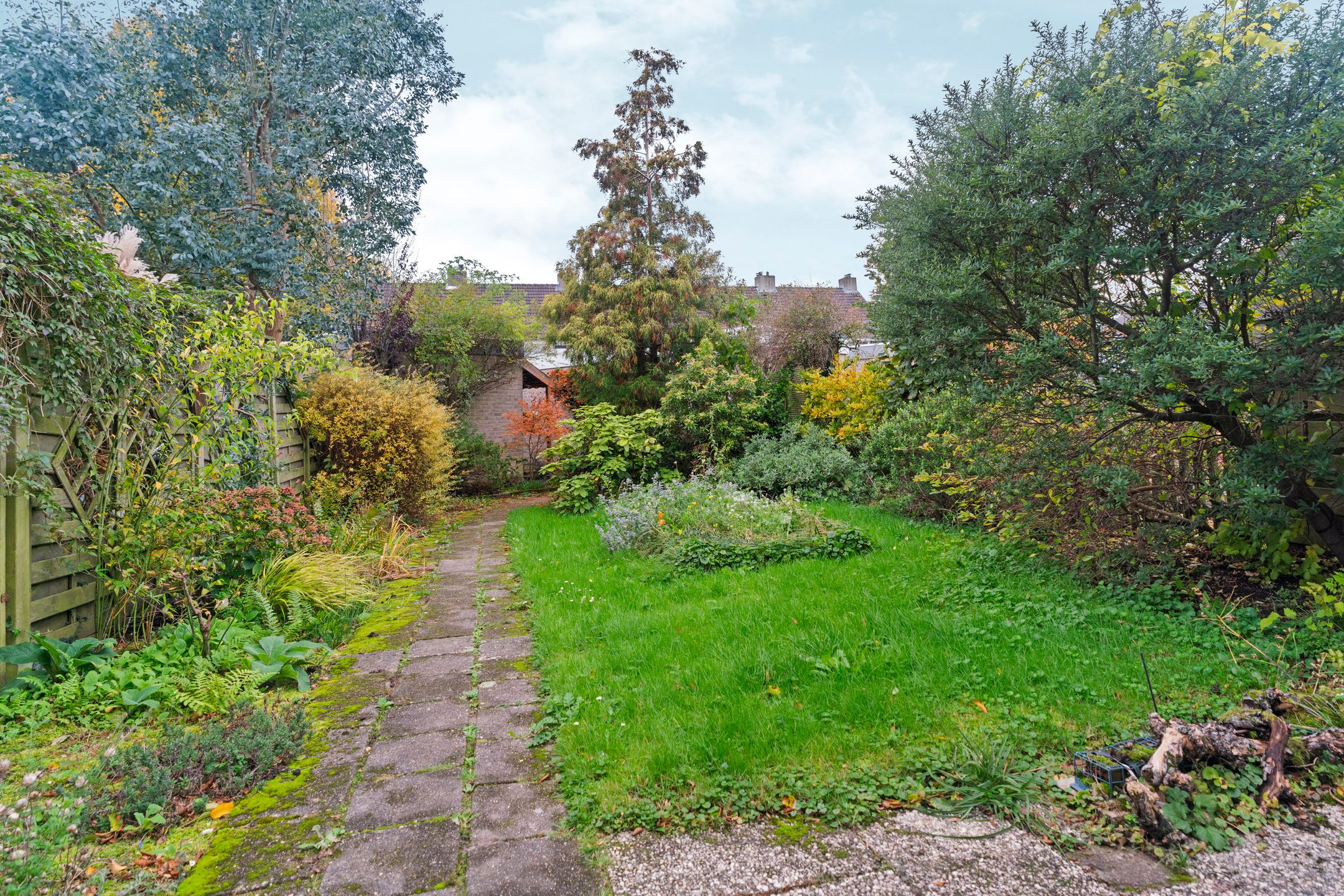 Photo 39 of Talingsingel 36