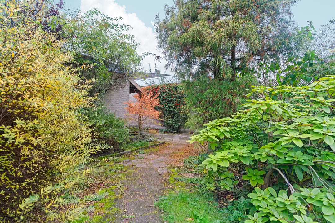 Photo 41 of Talingsingel 36