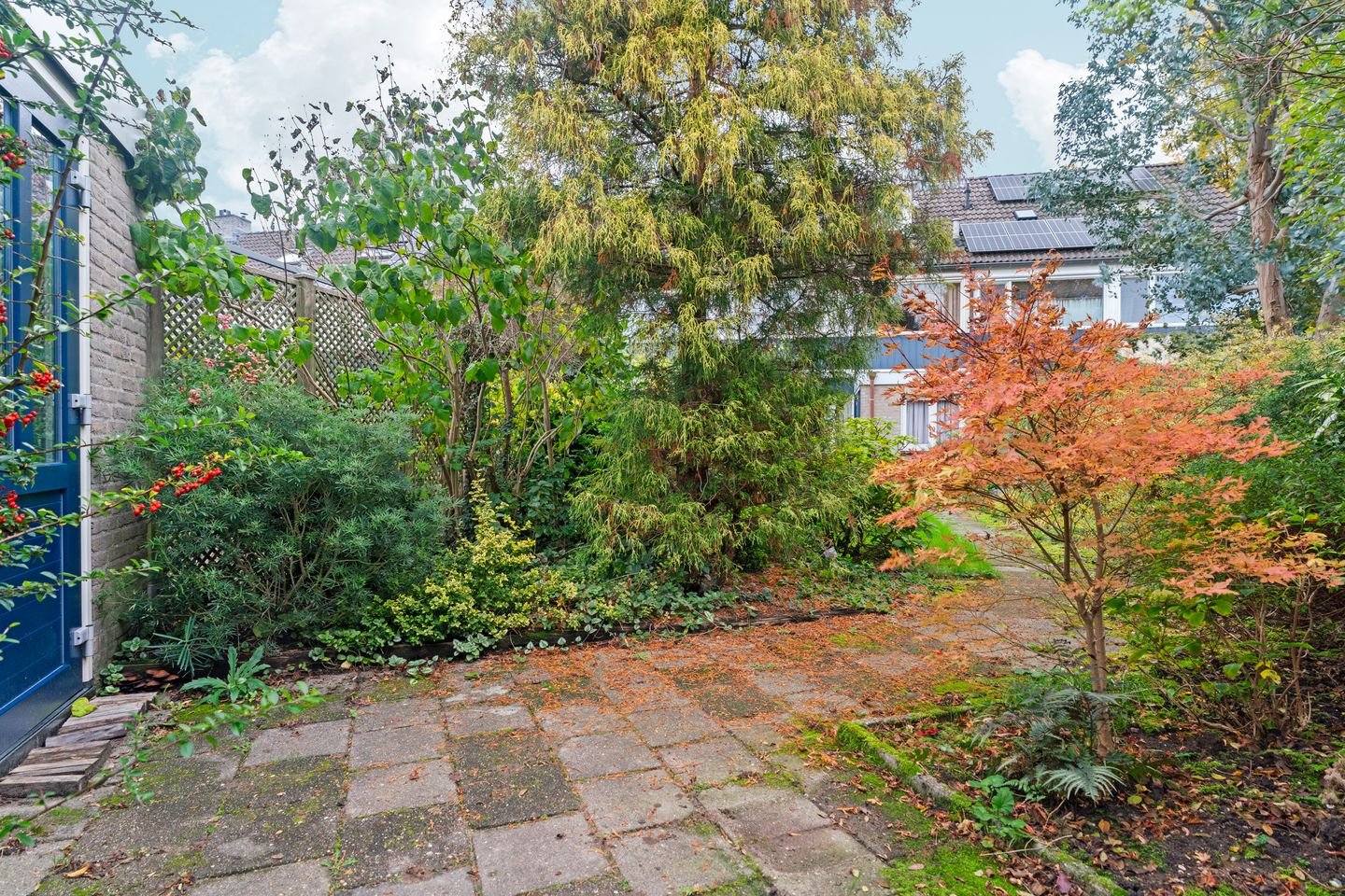 Photo 44 of Talingsingel 36