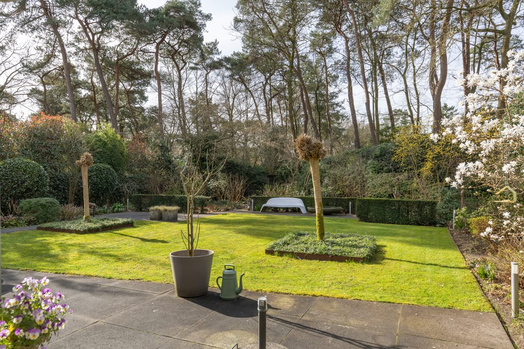 Foto 56 van Lassuslaan 52-C