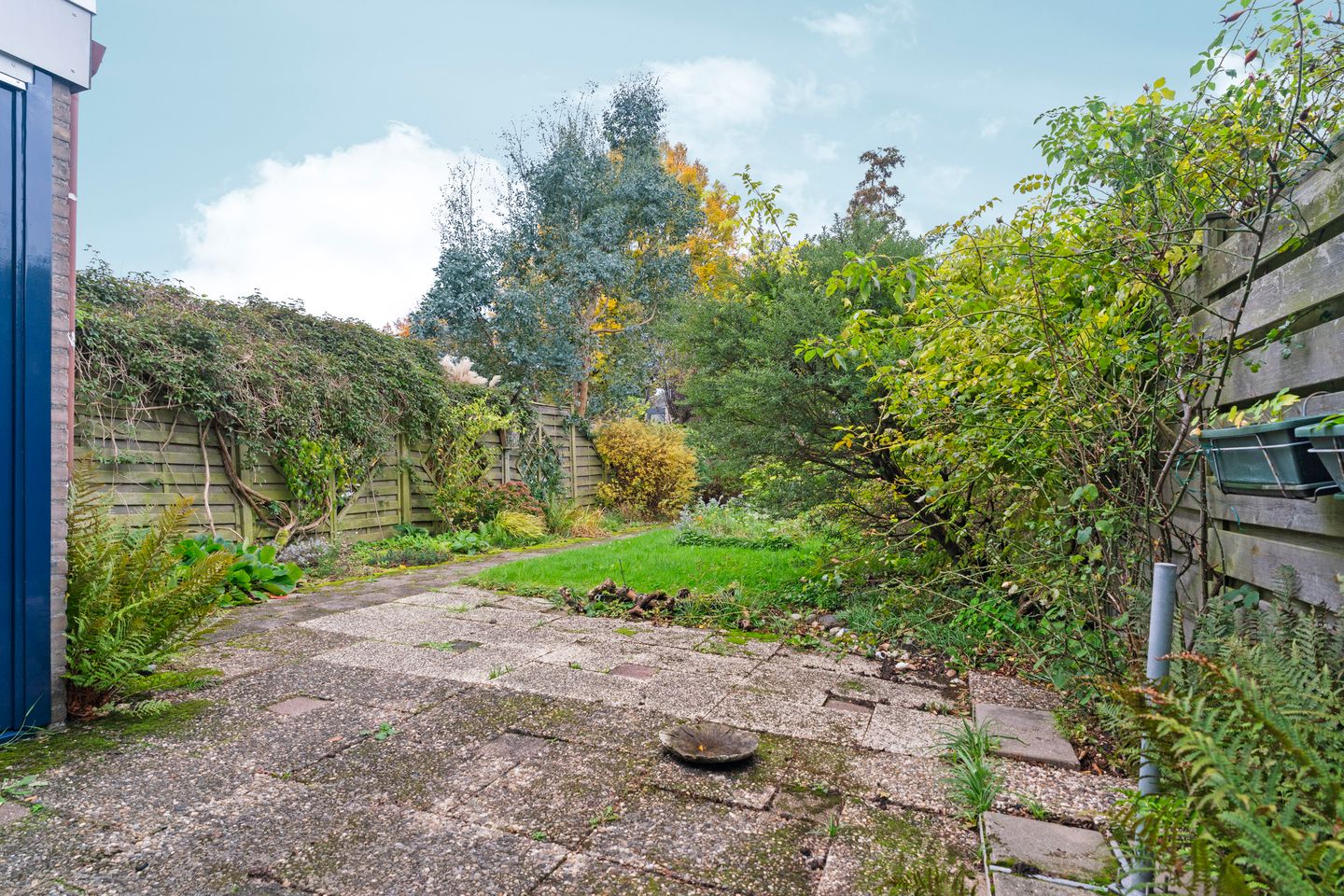 Photo 50 of Talingsingel 36