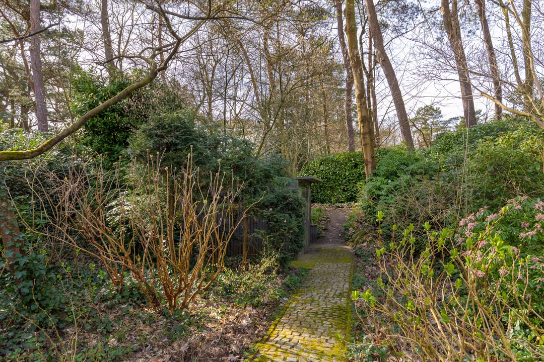 Foto 58 van Lassuslaan 52-C