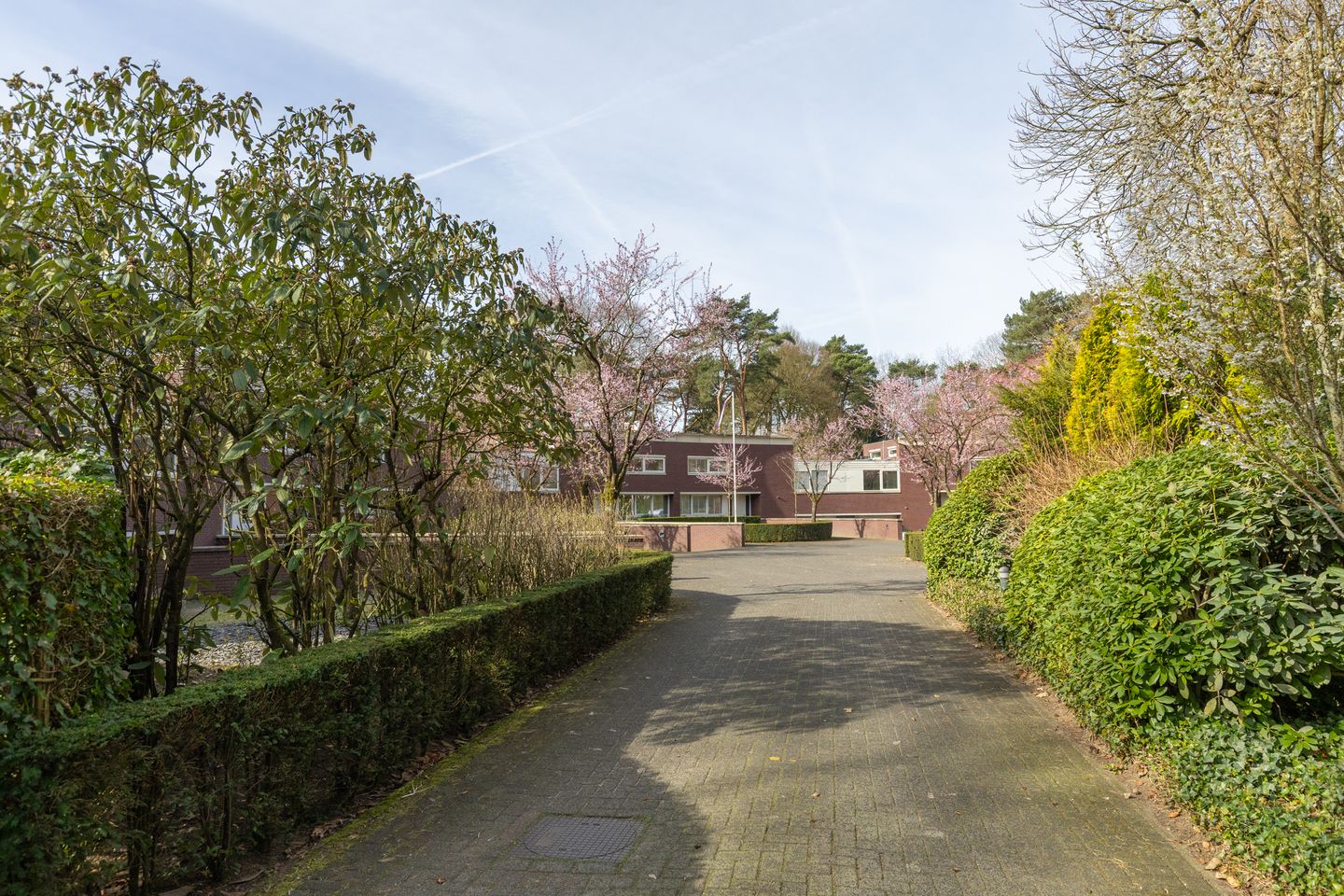 Foto 70 van Lassuslaan 52-C