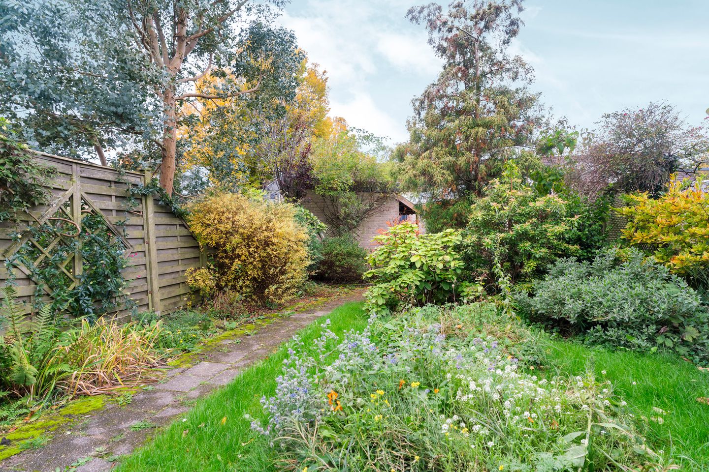 Photo 40 of Talingsingel 36