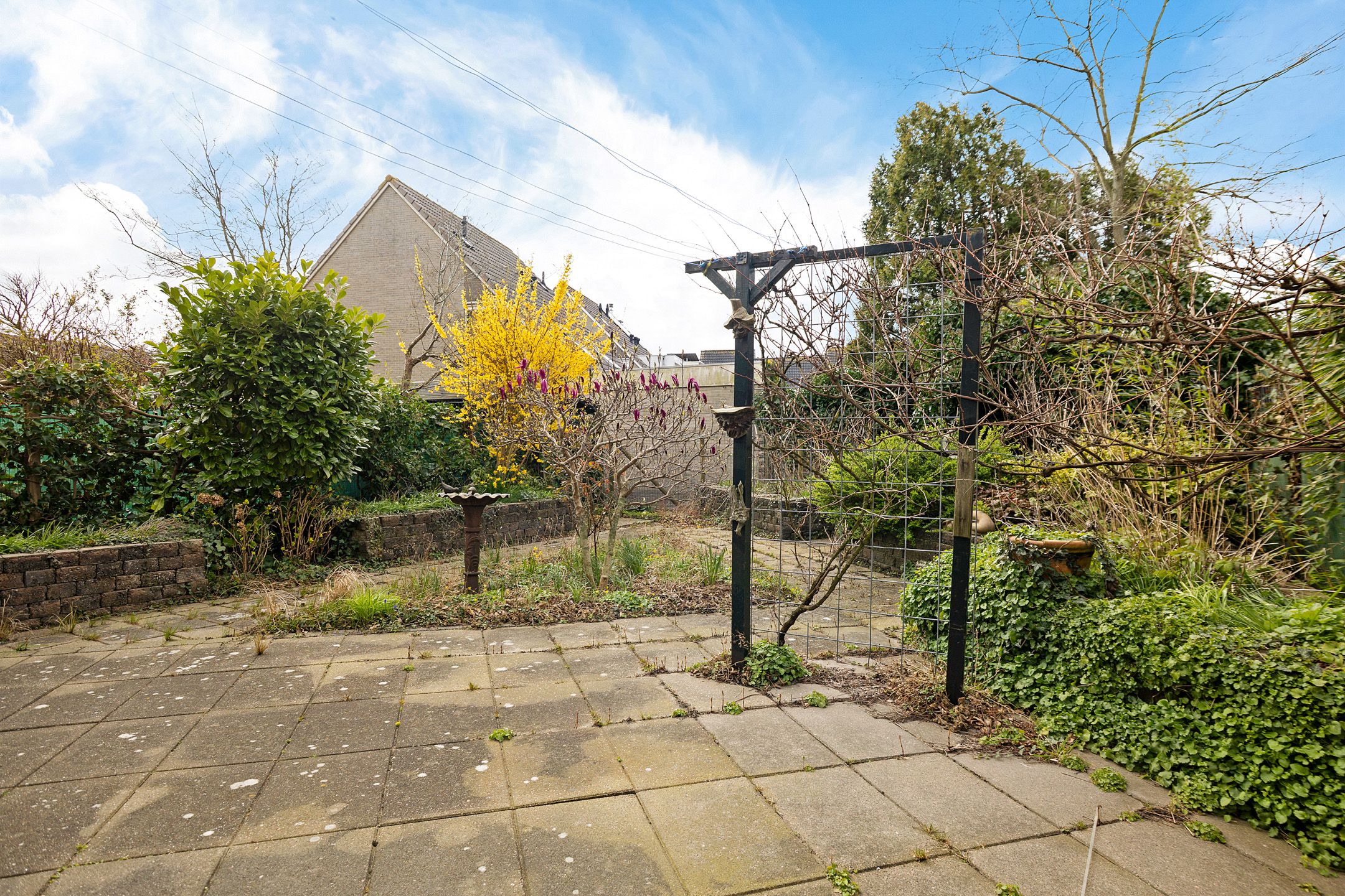 Photo 30 of Engelakker 10