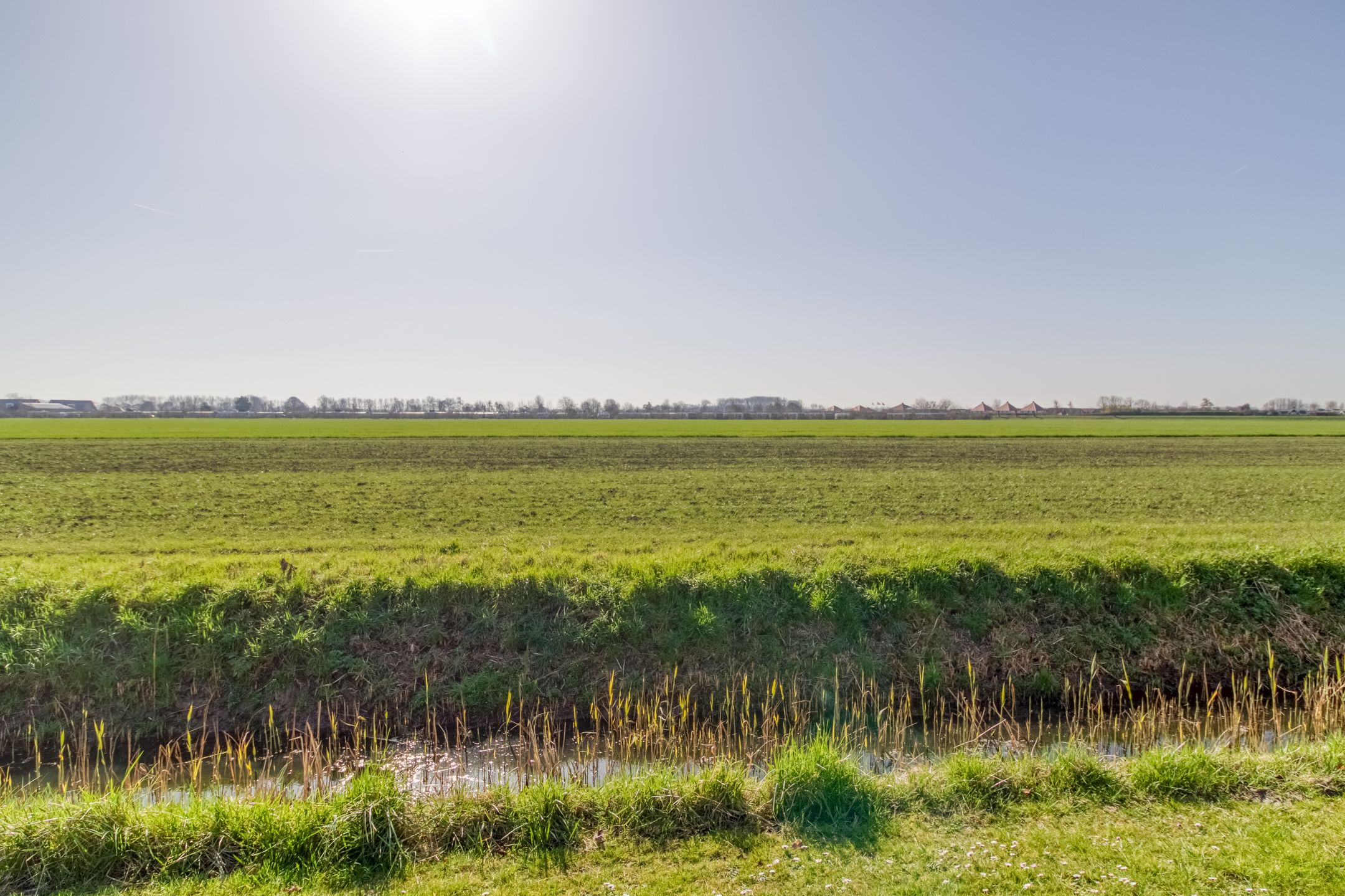 Foto 30 van Lamsoor 12-A