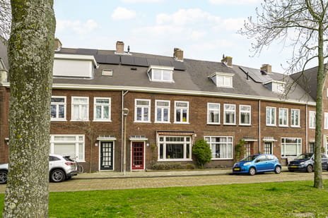 Van Riebeecklaan thumbnail