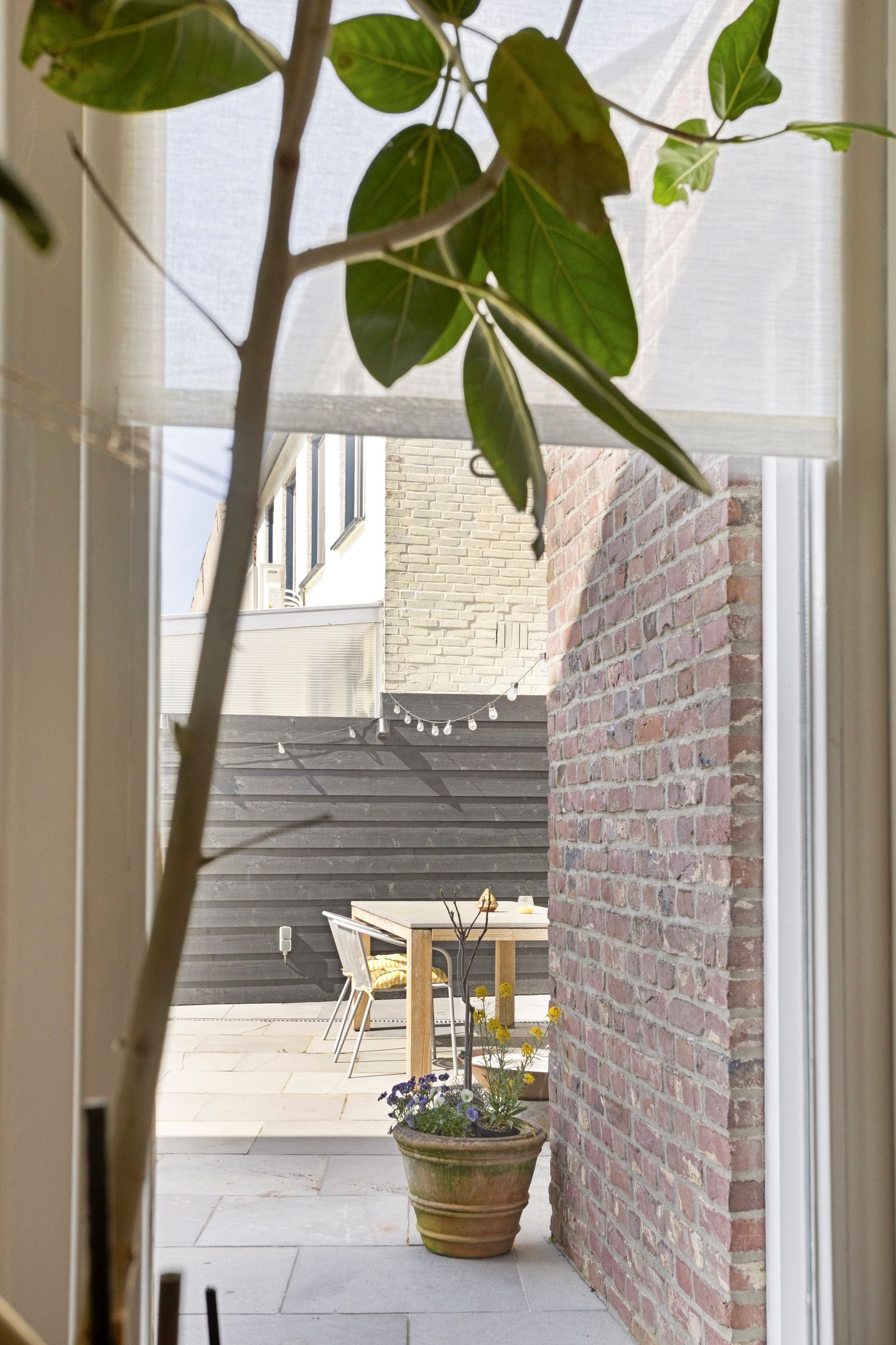 Photo 40 of Molenstraat Noord 11