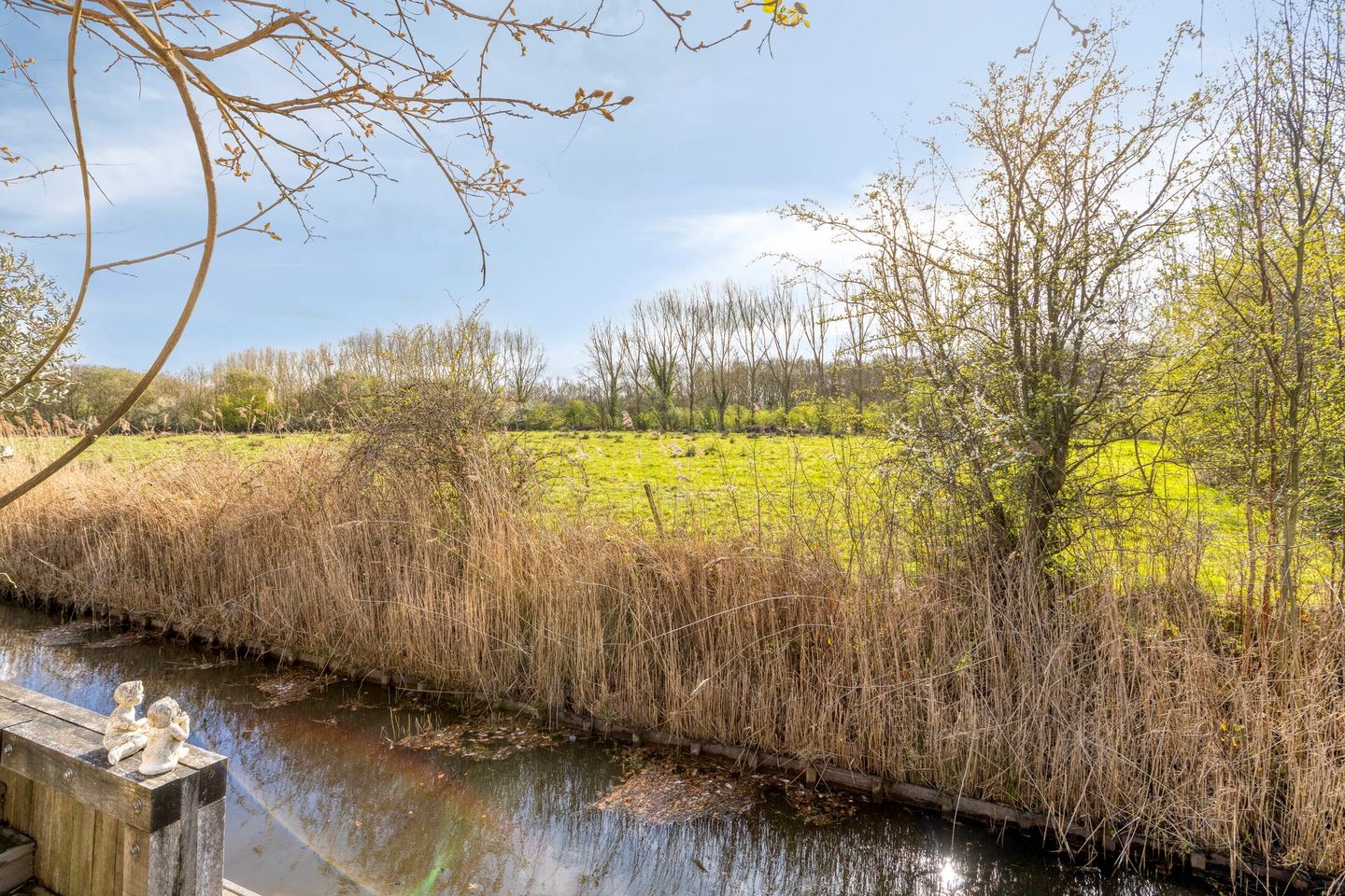 Photo 55 of Boomdijk 7