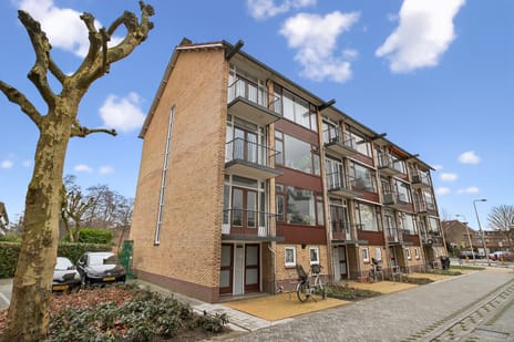 Oranjeplantsoen thumbnail