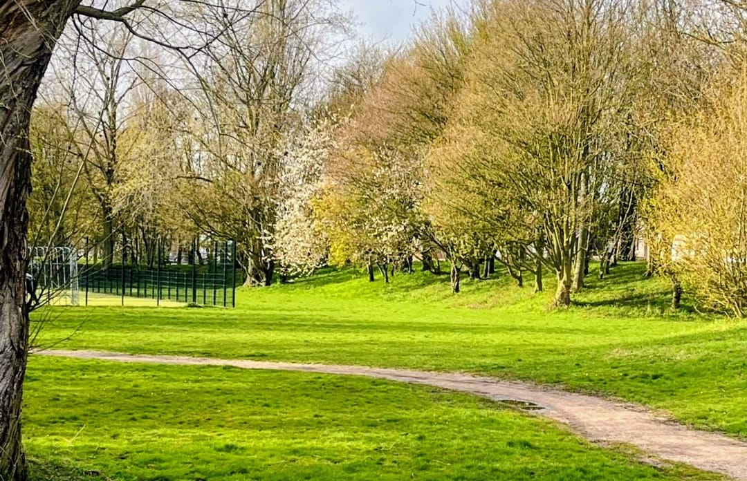 Foto 47 van Brederowende 4