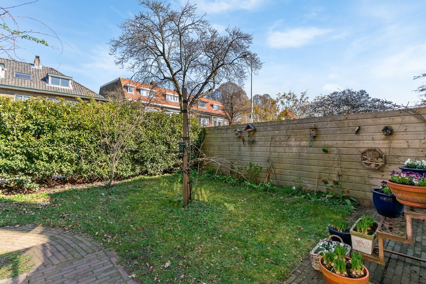 Foto 49 van De Ridderstraat 2