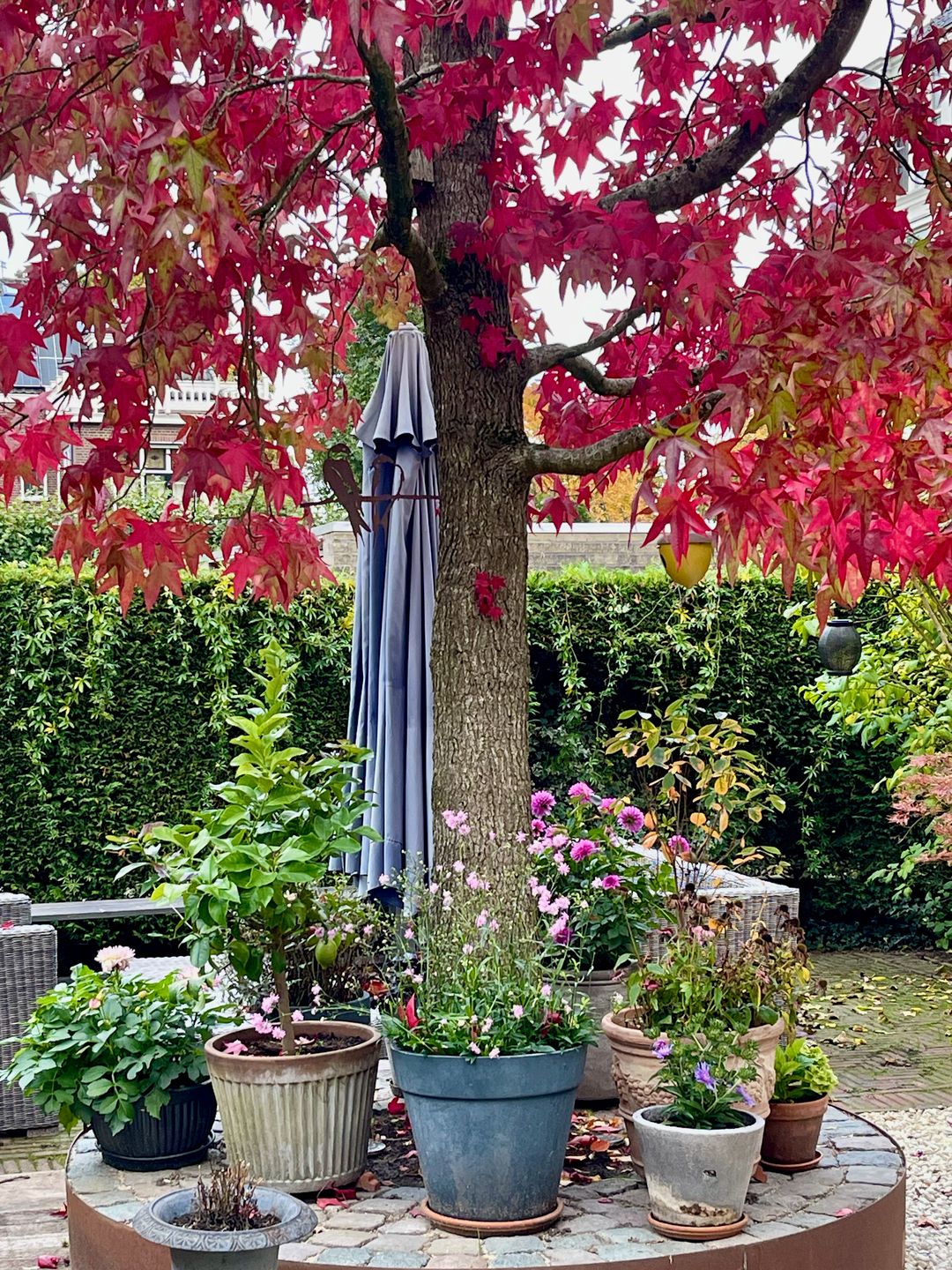 Foto 58 van Het Voorburg 2