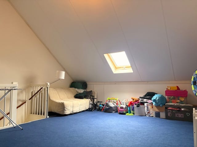 Foto 13 van Knelisroos 32