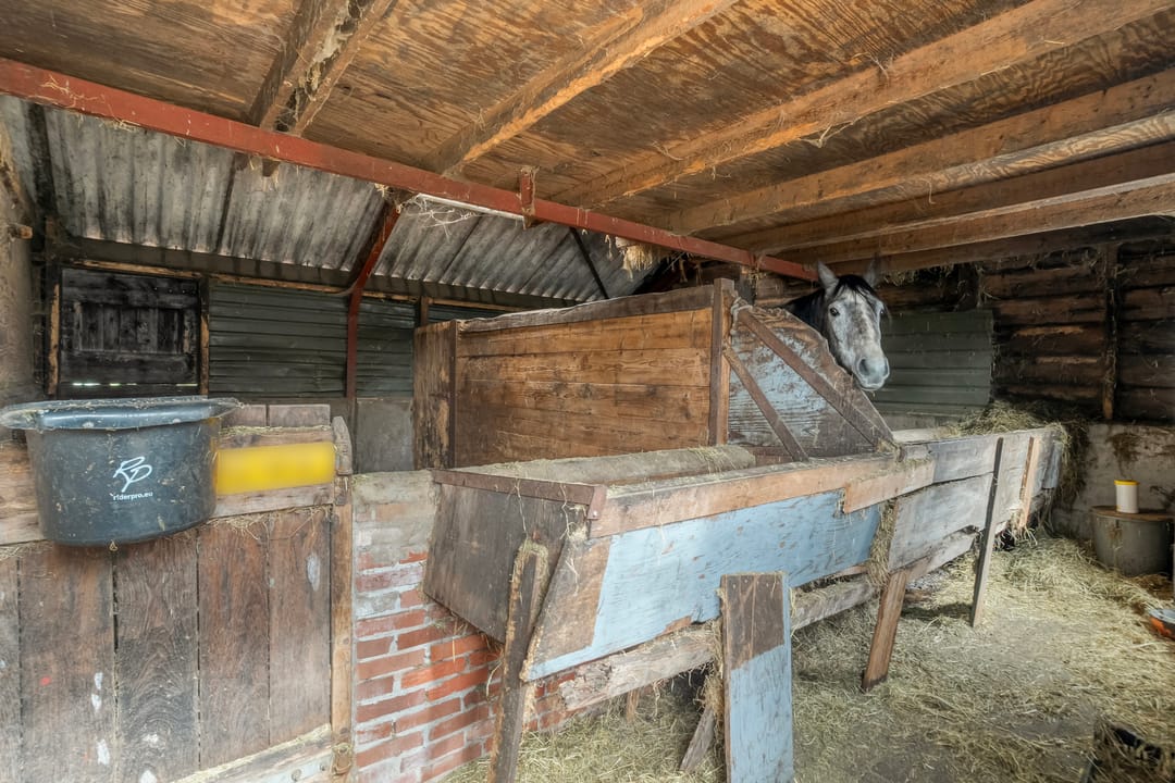 Photo 38 of Boerpad 4