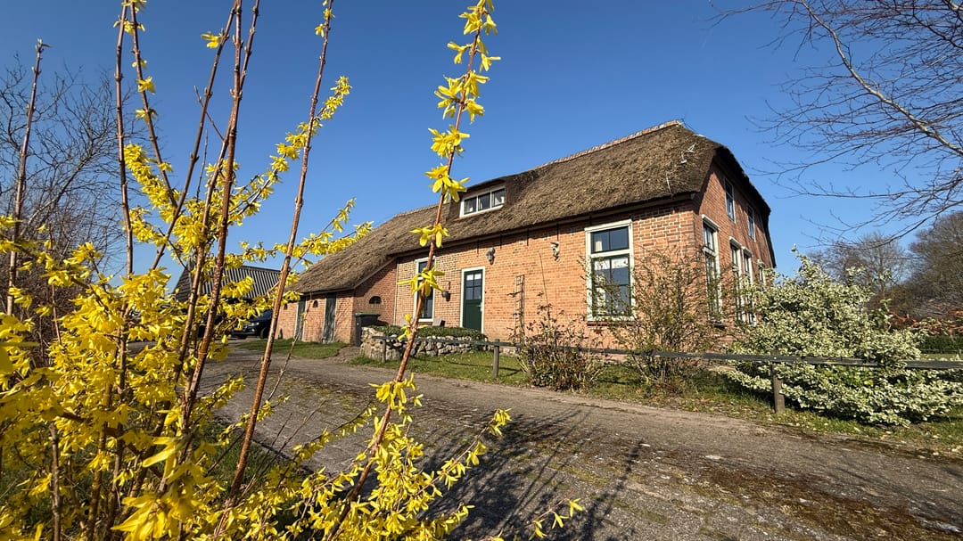 Photo 47 of Boerpad 4