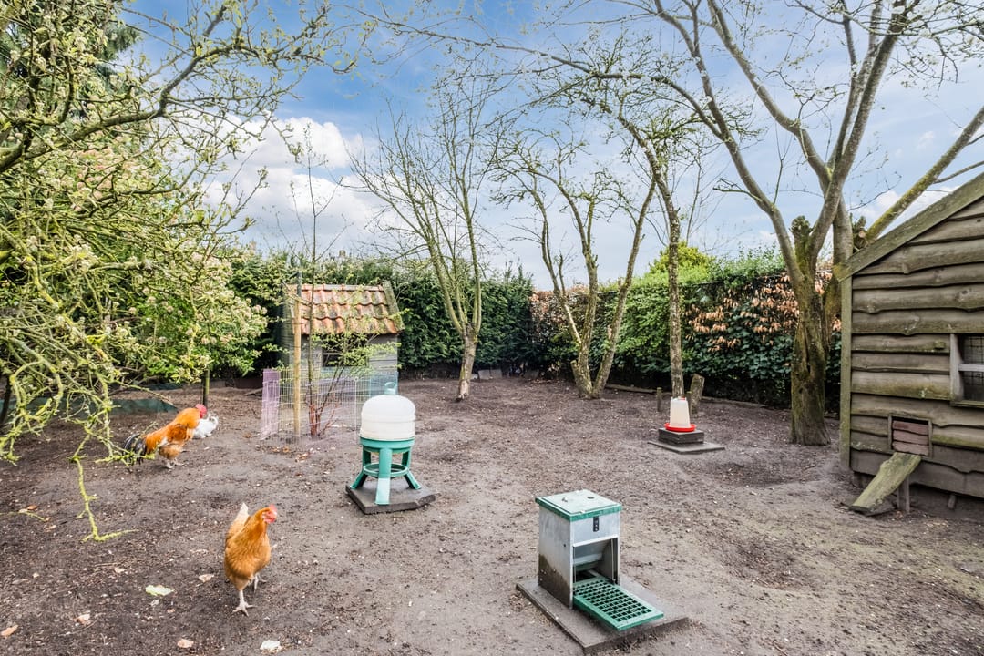 Photo 47 of Postakkers 72