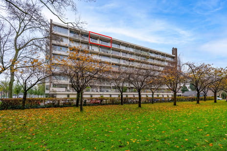 Suzannaland thumbnail