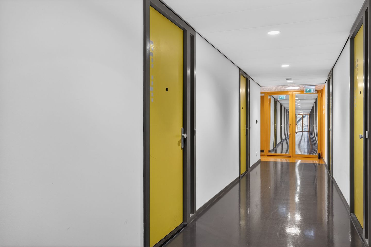 Photo 20 of Bos en Lommerplantsoen 9-H