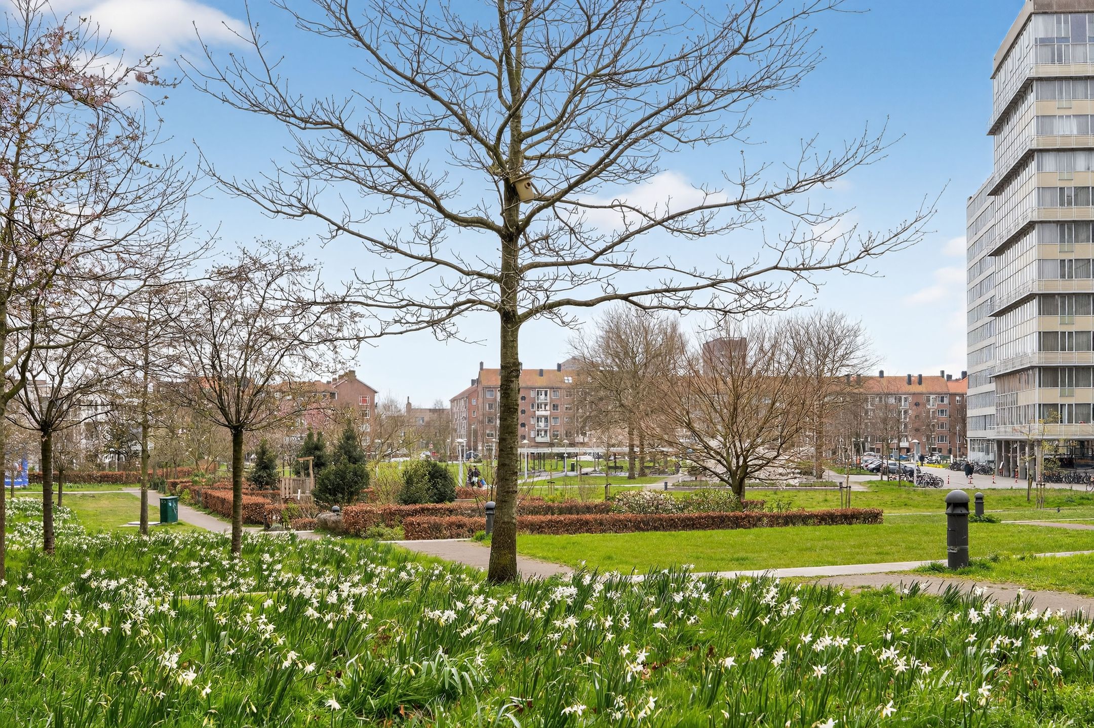 Photo 36 of Bos en Lommerplantsoen 9-H