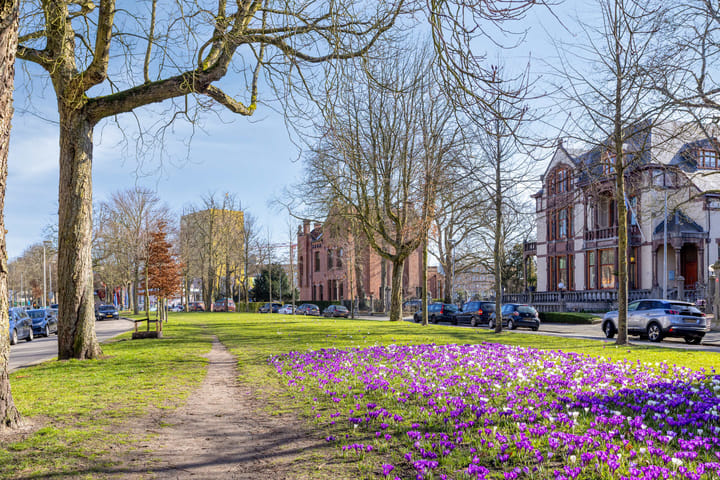 Photo 4 of Gedempte Zuiderdiep 110-A