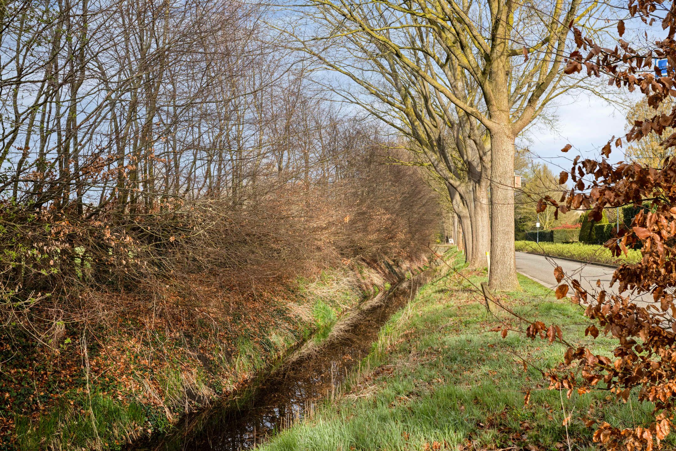 Foto 66 van Lebbenbruggedijk 6