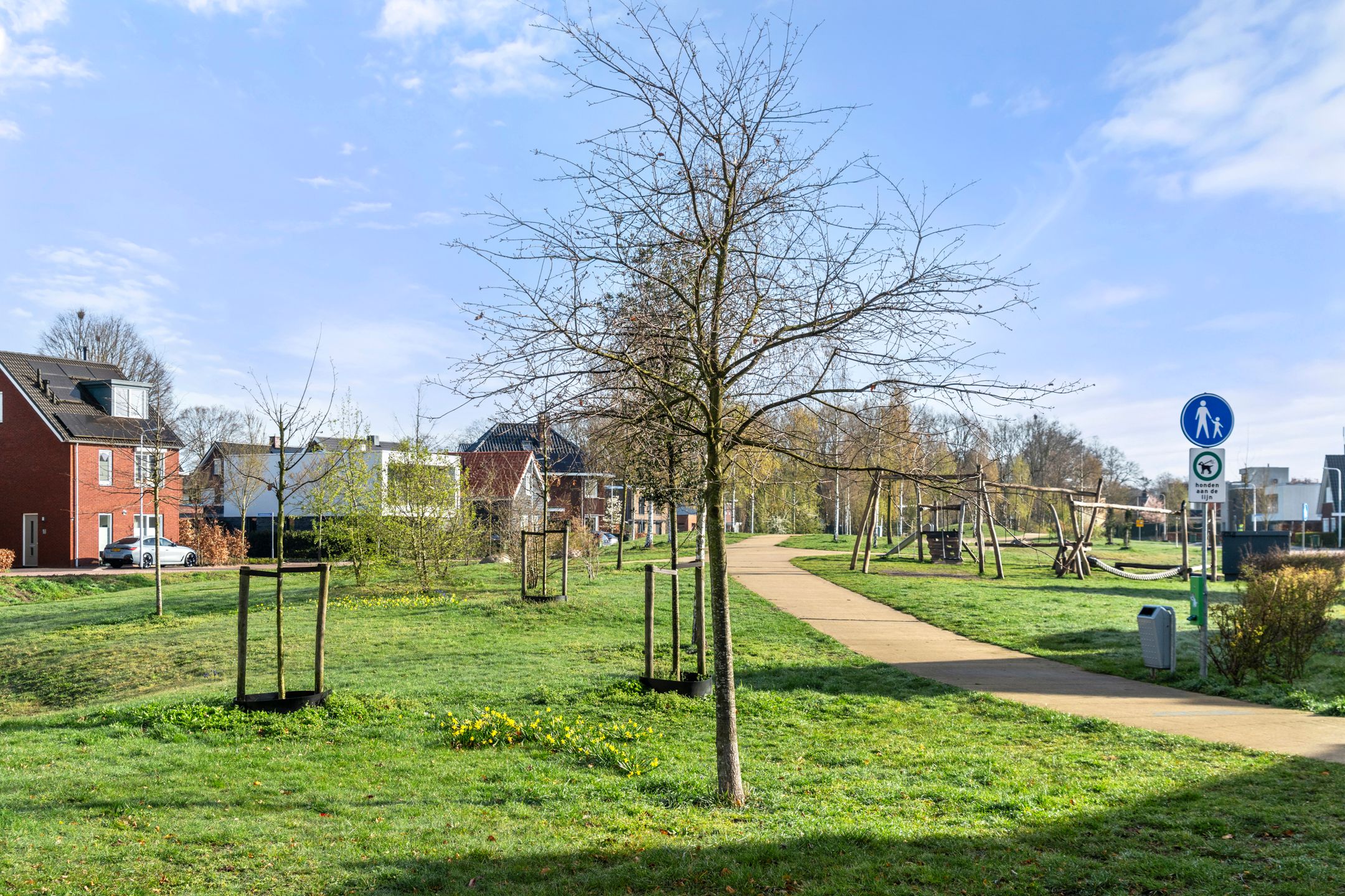 Photo 39 of Ansinghstraat 42