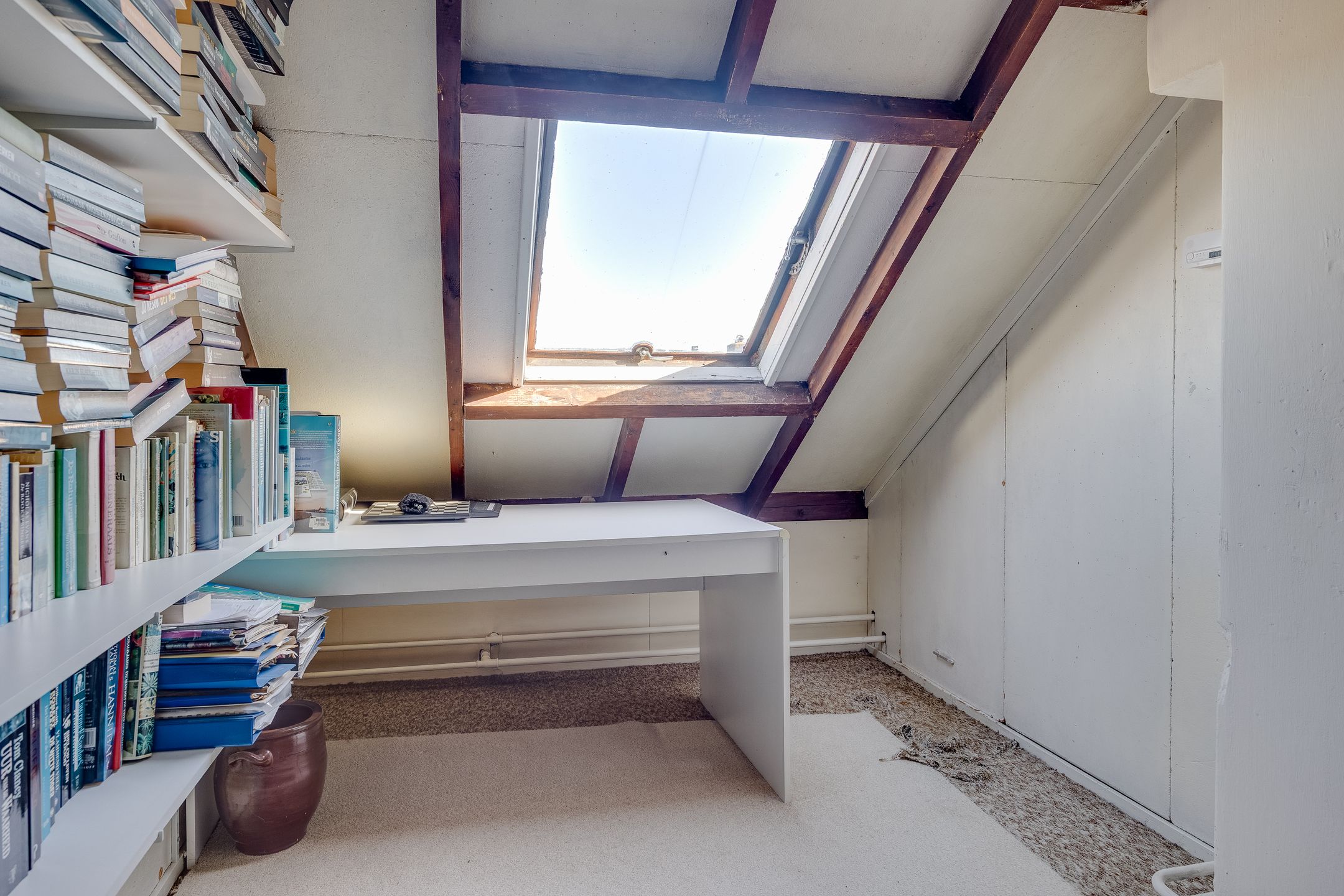 Foto 30 van Prinses Irenelaan 38