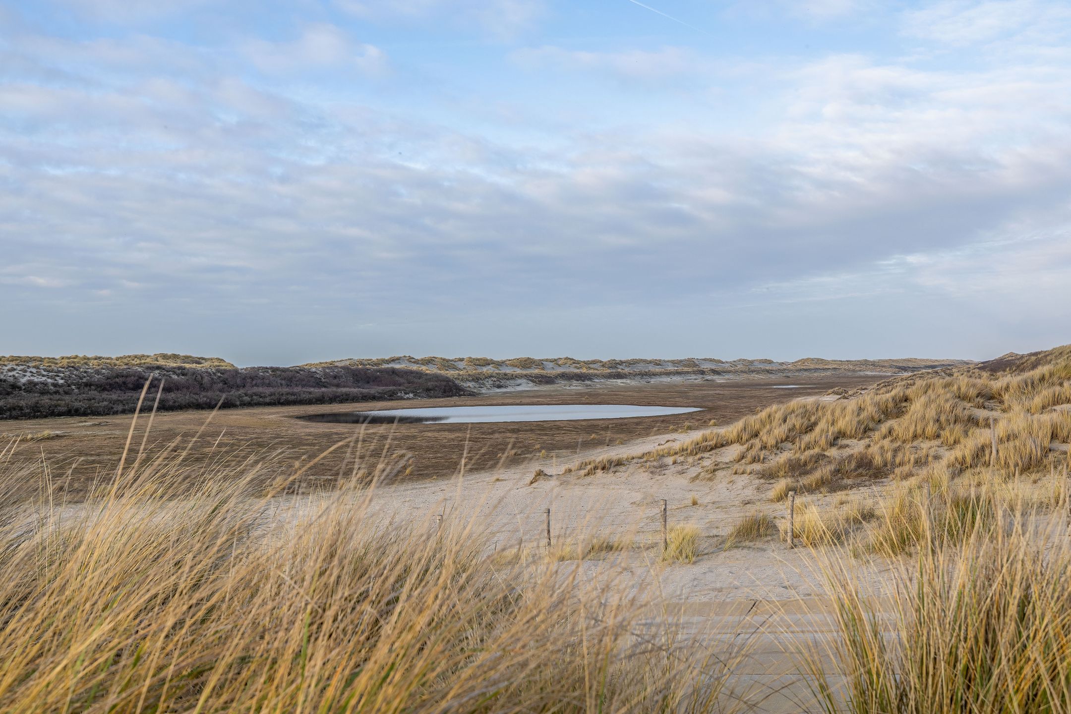 Photo 39 of Noordwind 20