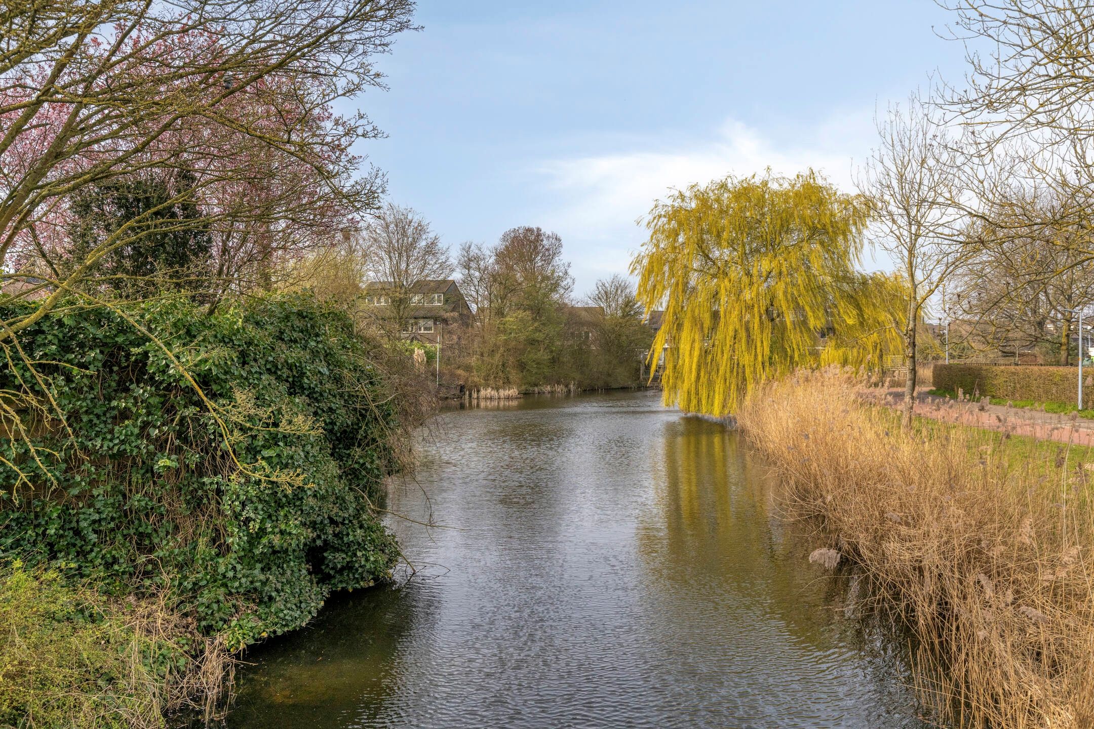 Foto 30 van Skagerrak 162