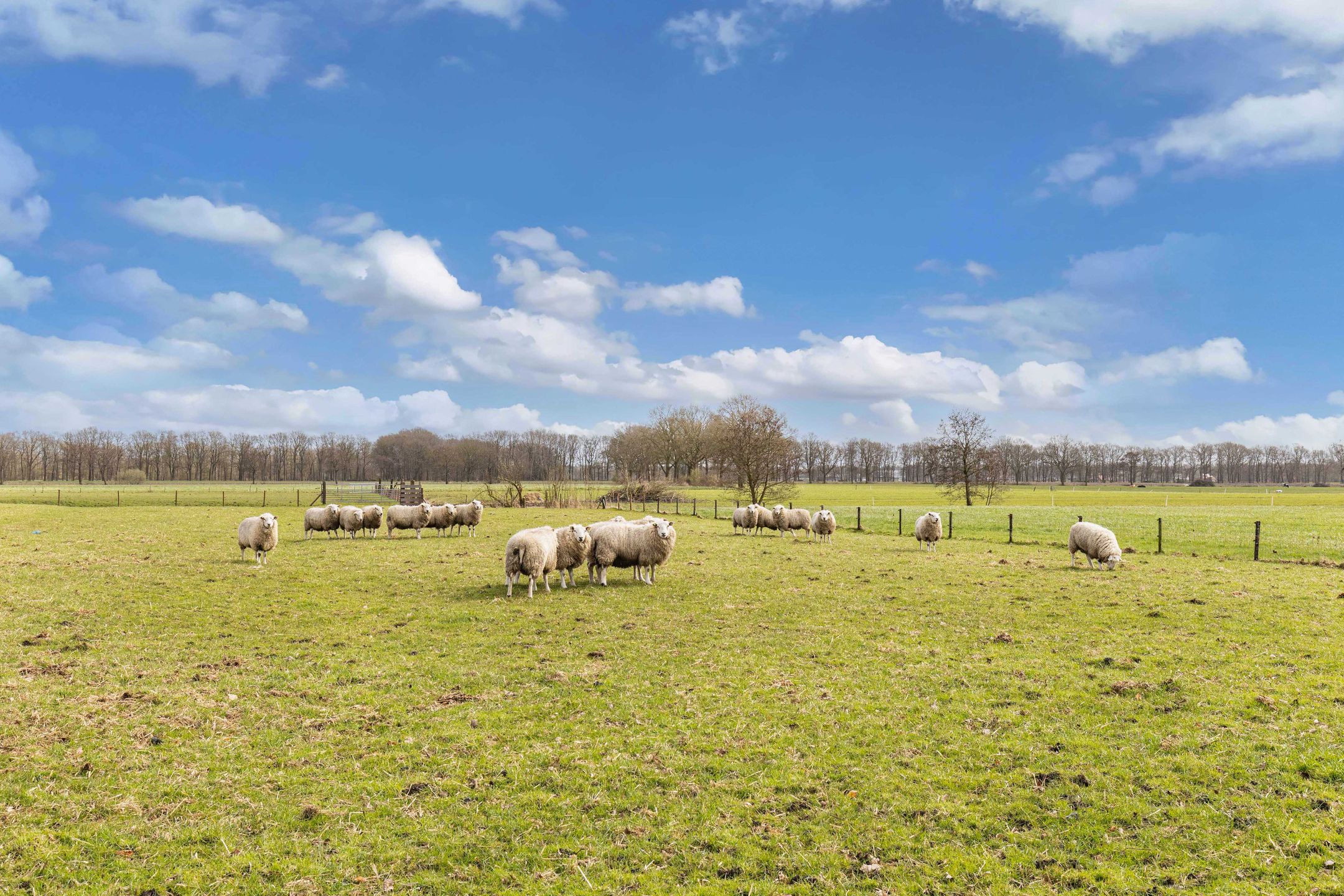 Foto 39 van Tolheksleane 73