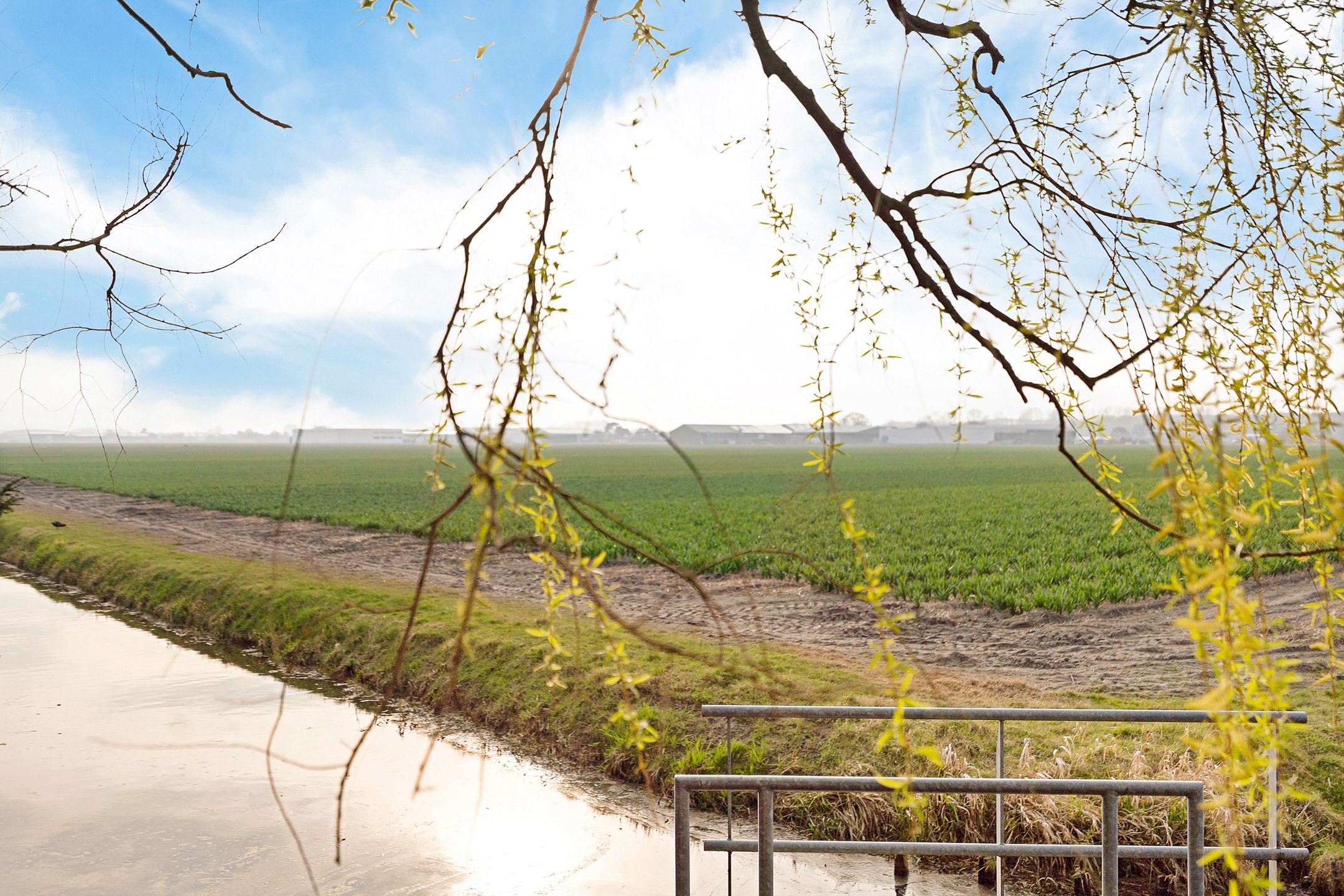 Foto 33 van Beeklaan 124