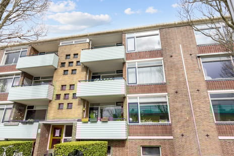 Jacob van Ruysdaelstraat thumbnail