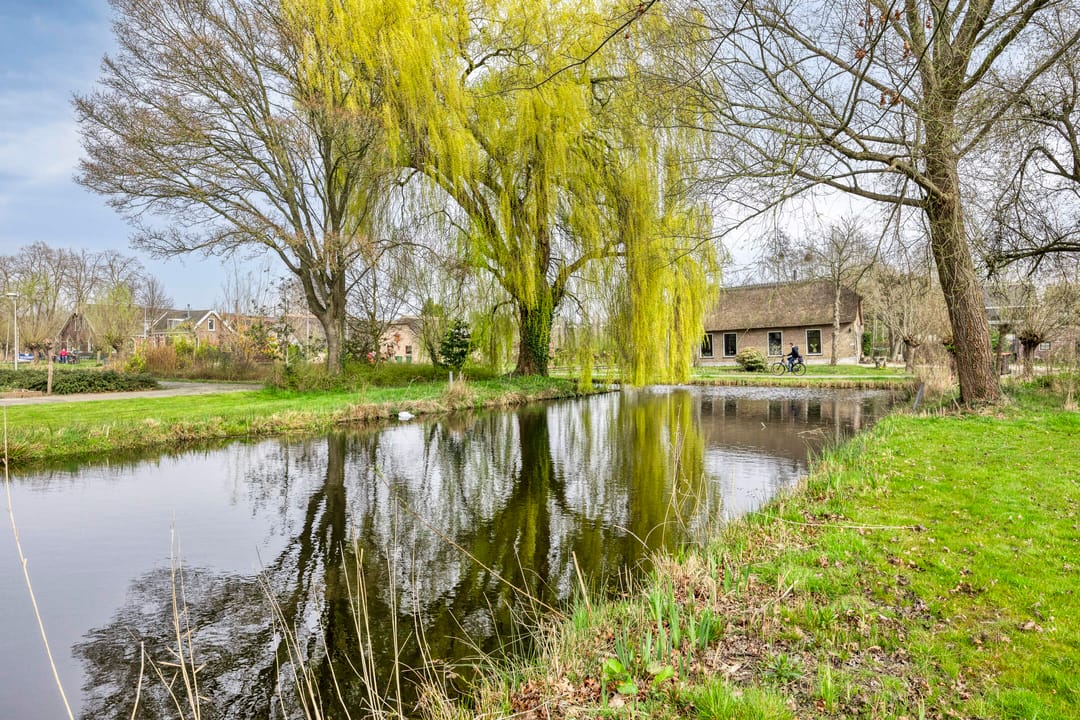 Foto 53 van Clematislaan 7