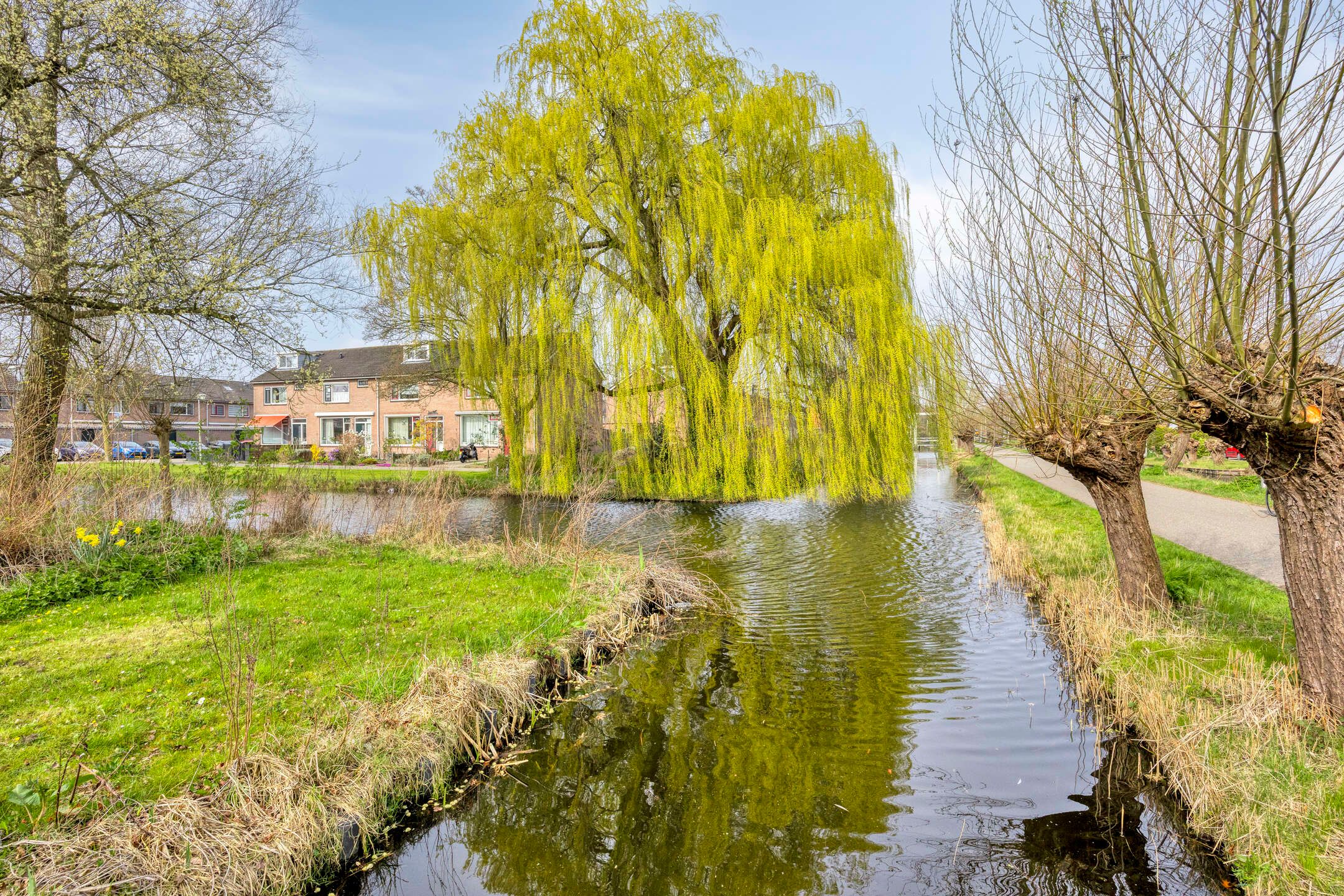 Foto 54 van Clematislaan 7