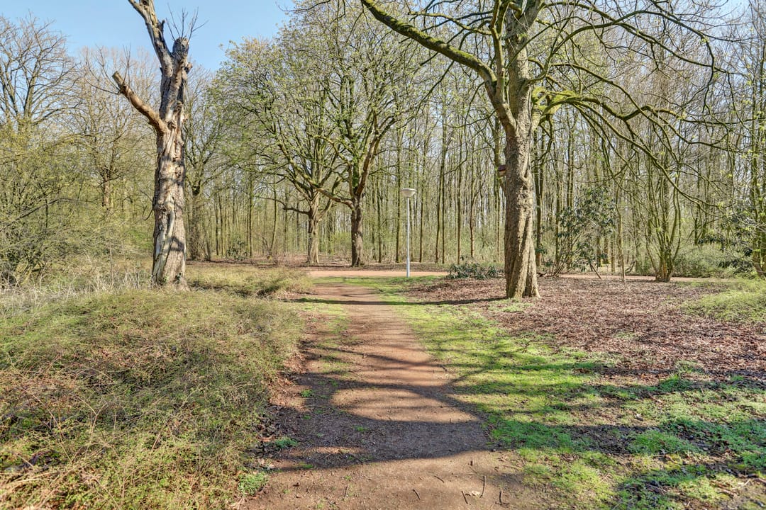 Foto 41 van Looierstraat 36