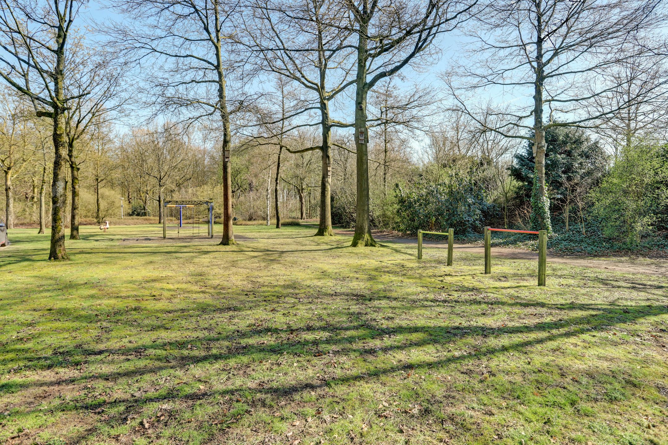 Foto 42 van Looierstraat 36