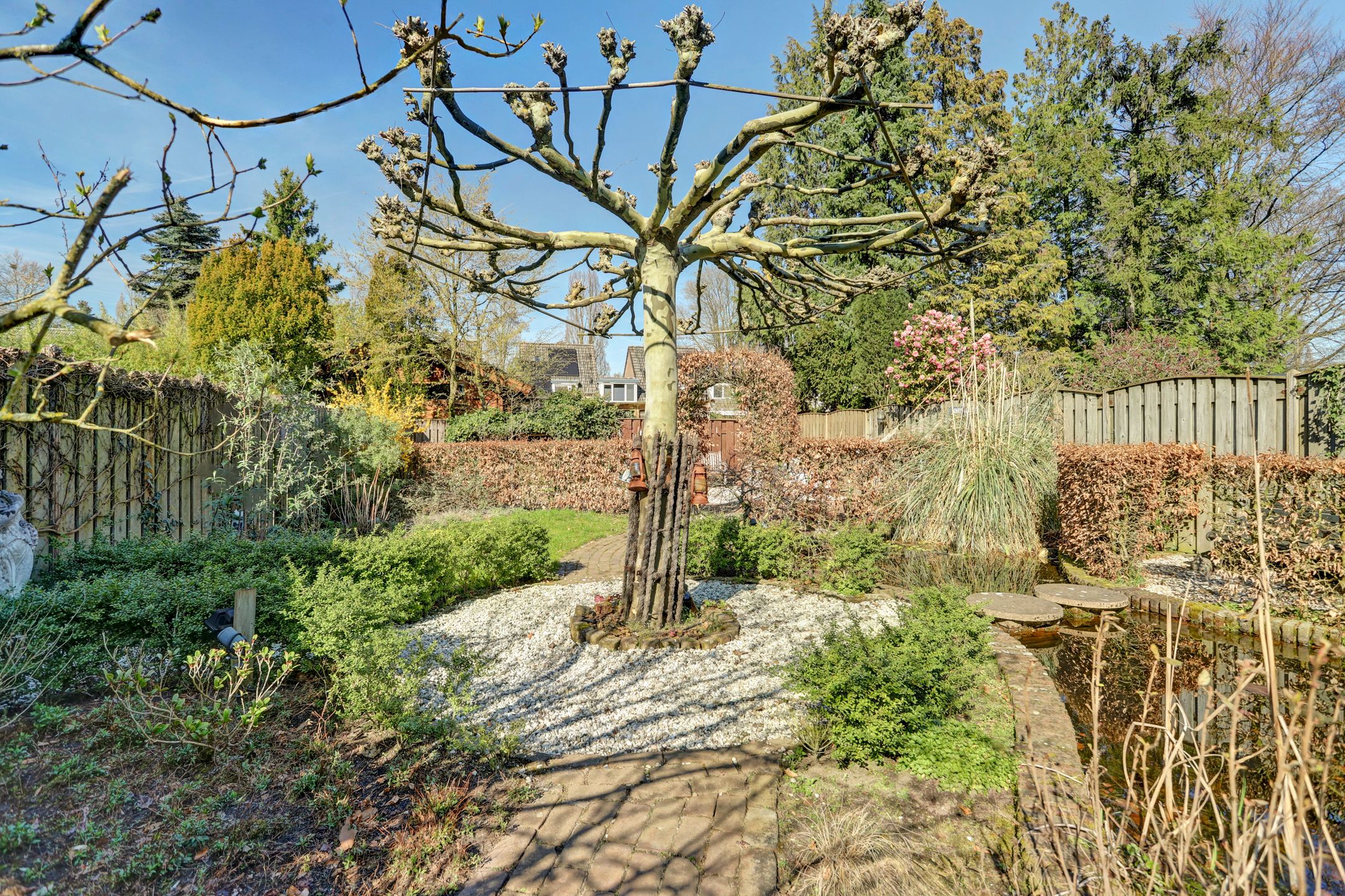 Foto 33 van Looierstraat 36