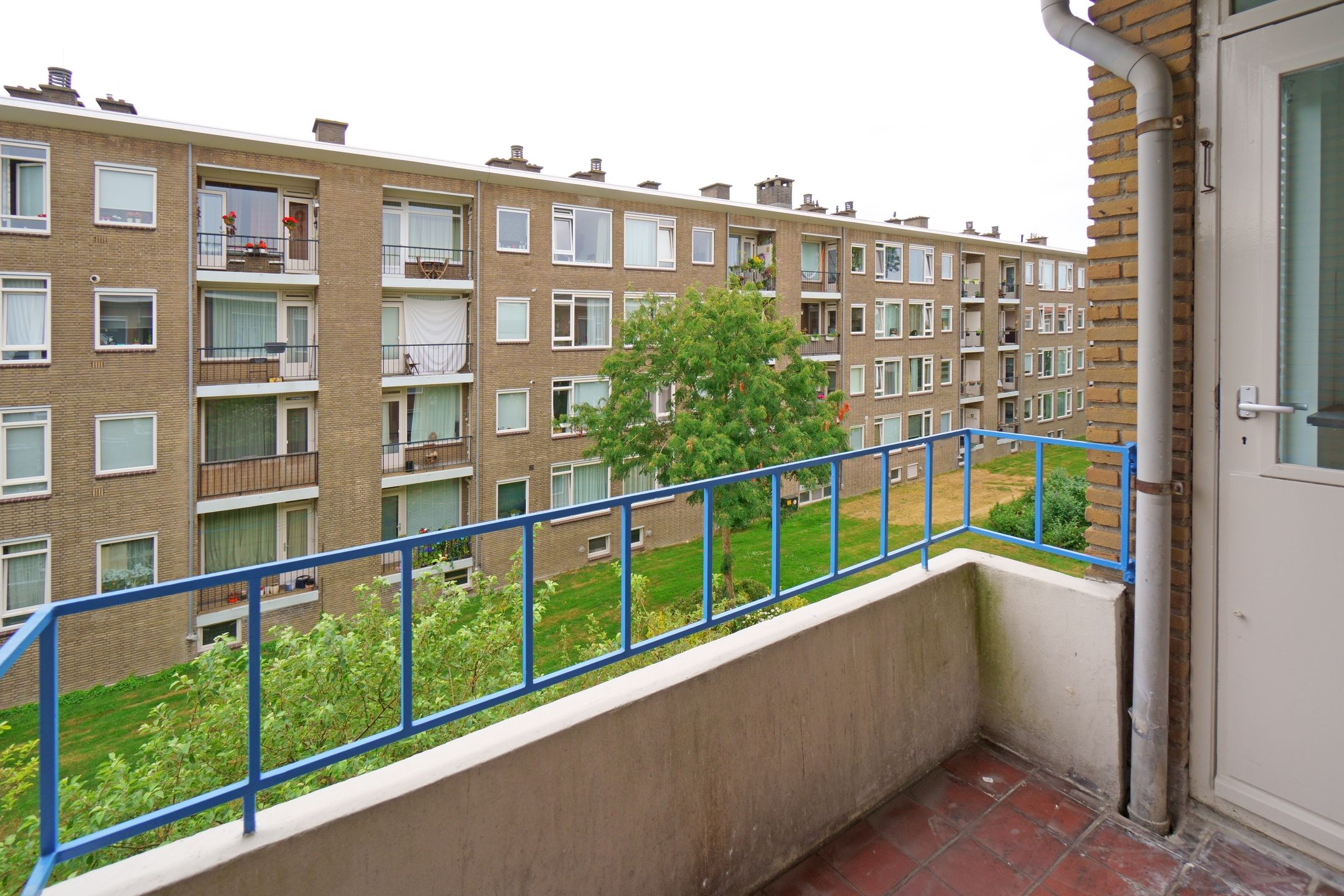 Foto 3 van Queridostraat 17