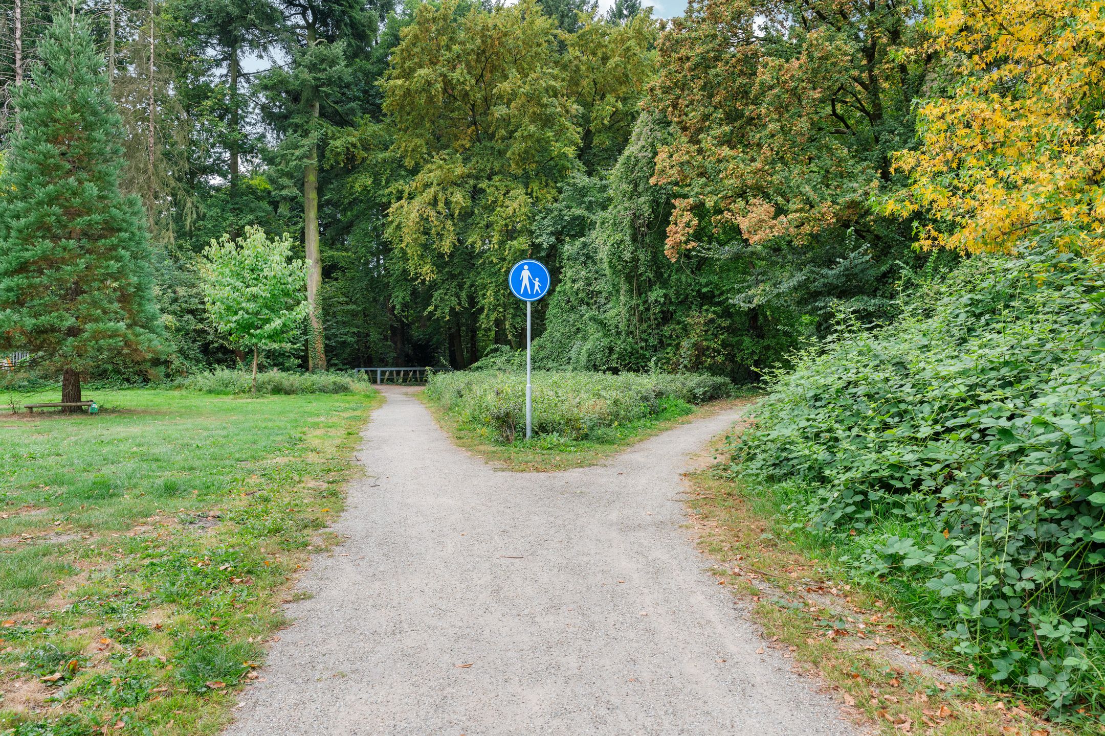 Photo 48 of Guido Gezellestraat 9