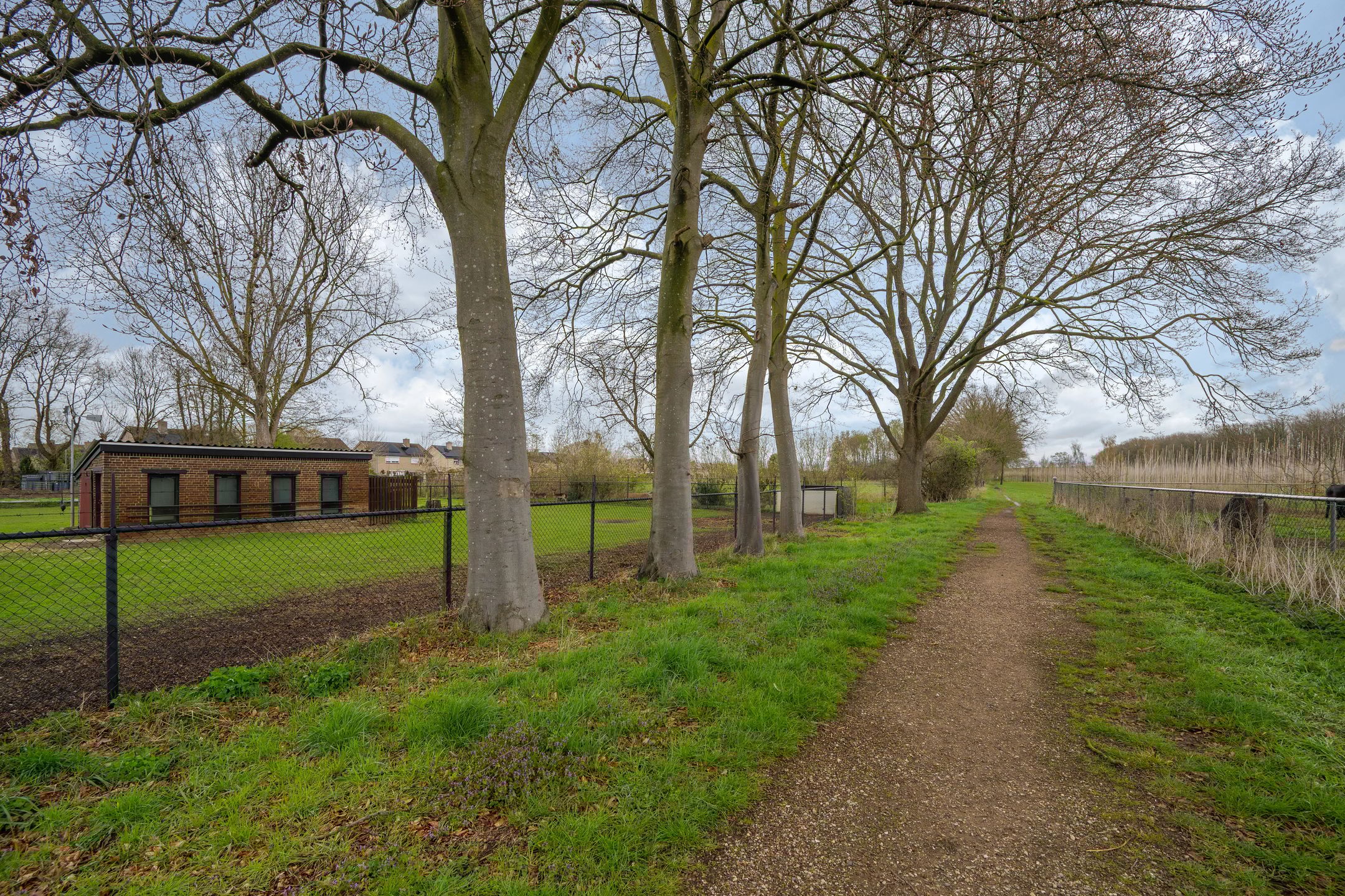 Foto 60 van Oude Tolweg 5