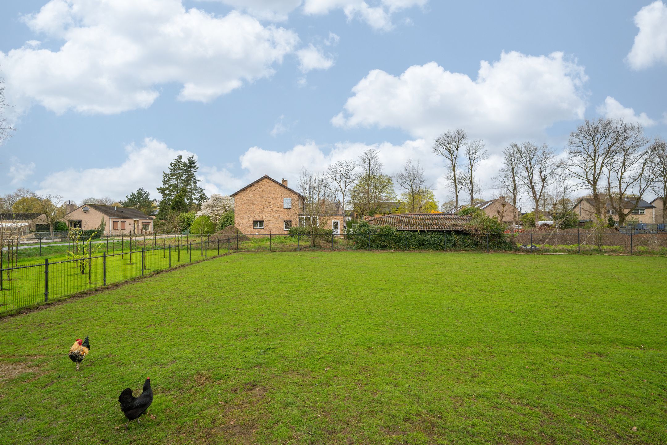 Foto 51 van Oude Tolweg 5