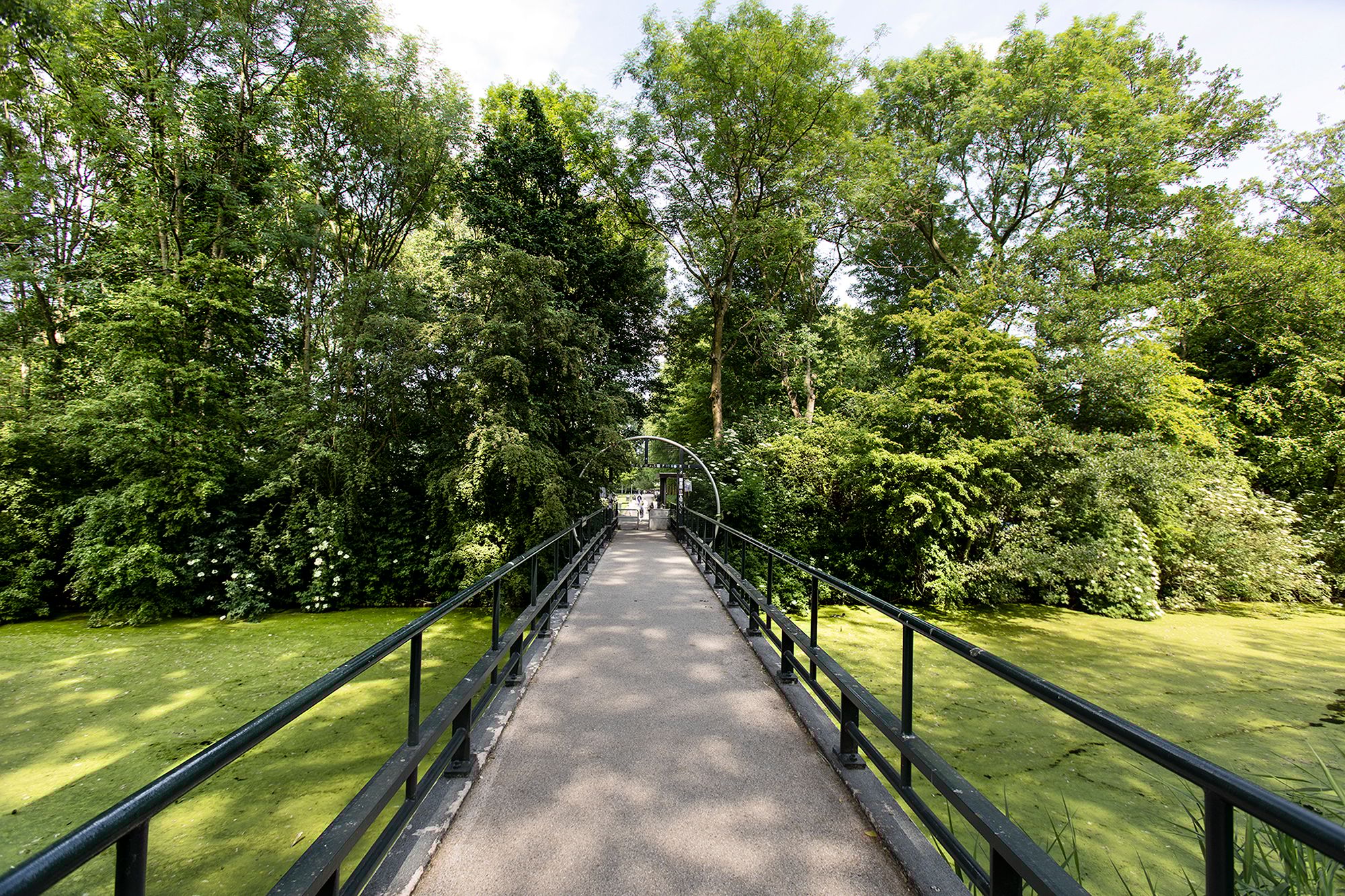 Foto 39 van Grianestraat 11-C