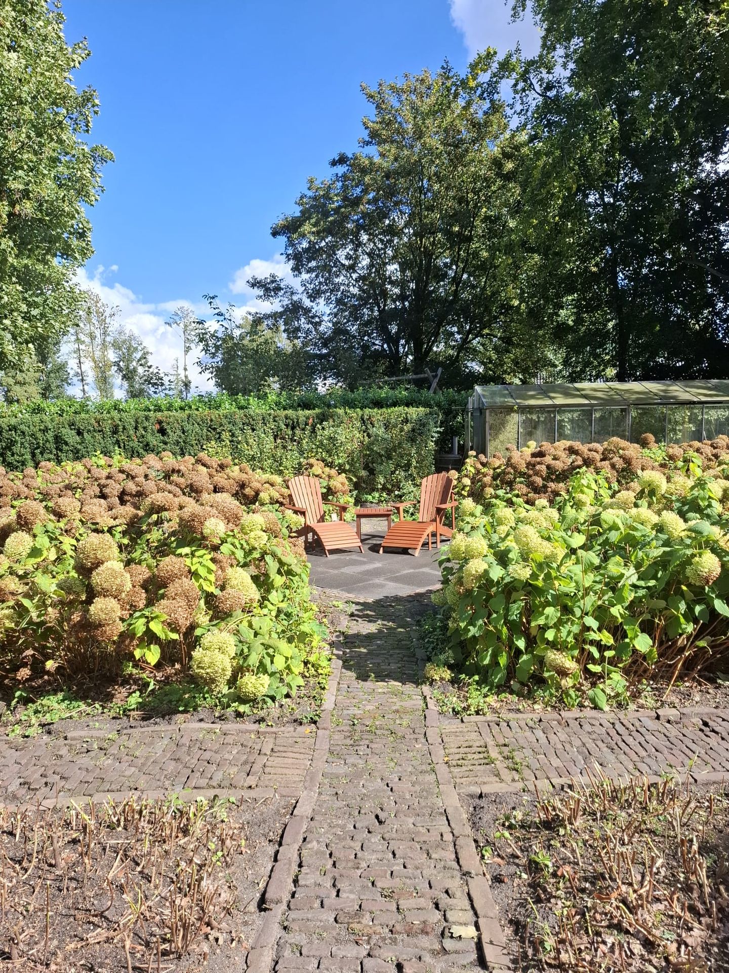 Foto 4 van Dedemsvaartseweg-Noord 50